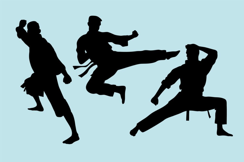 Bela Diri Pencak Silat